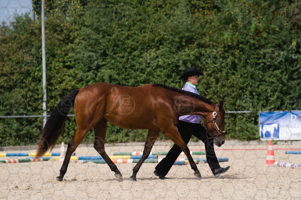 s_batch_A9_00029.jpg
